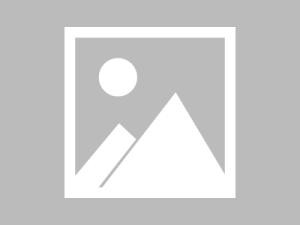 ChatGPT支持谷歌登录吗？一文详解登录方法与常见问题