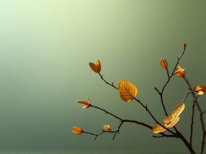 硕士论文能用ChatGPT辅助写作吗?学术规范与高效技巧全指南